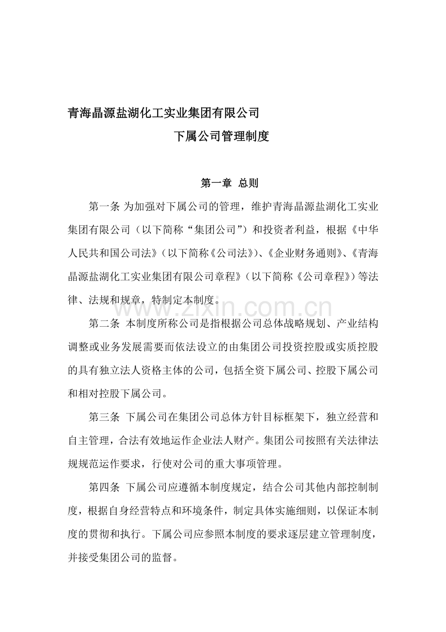 21下属公司管理制度.doc_第1页