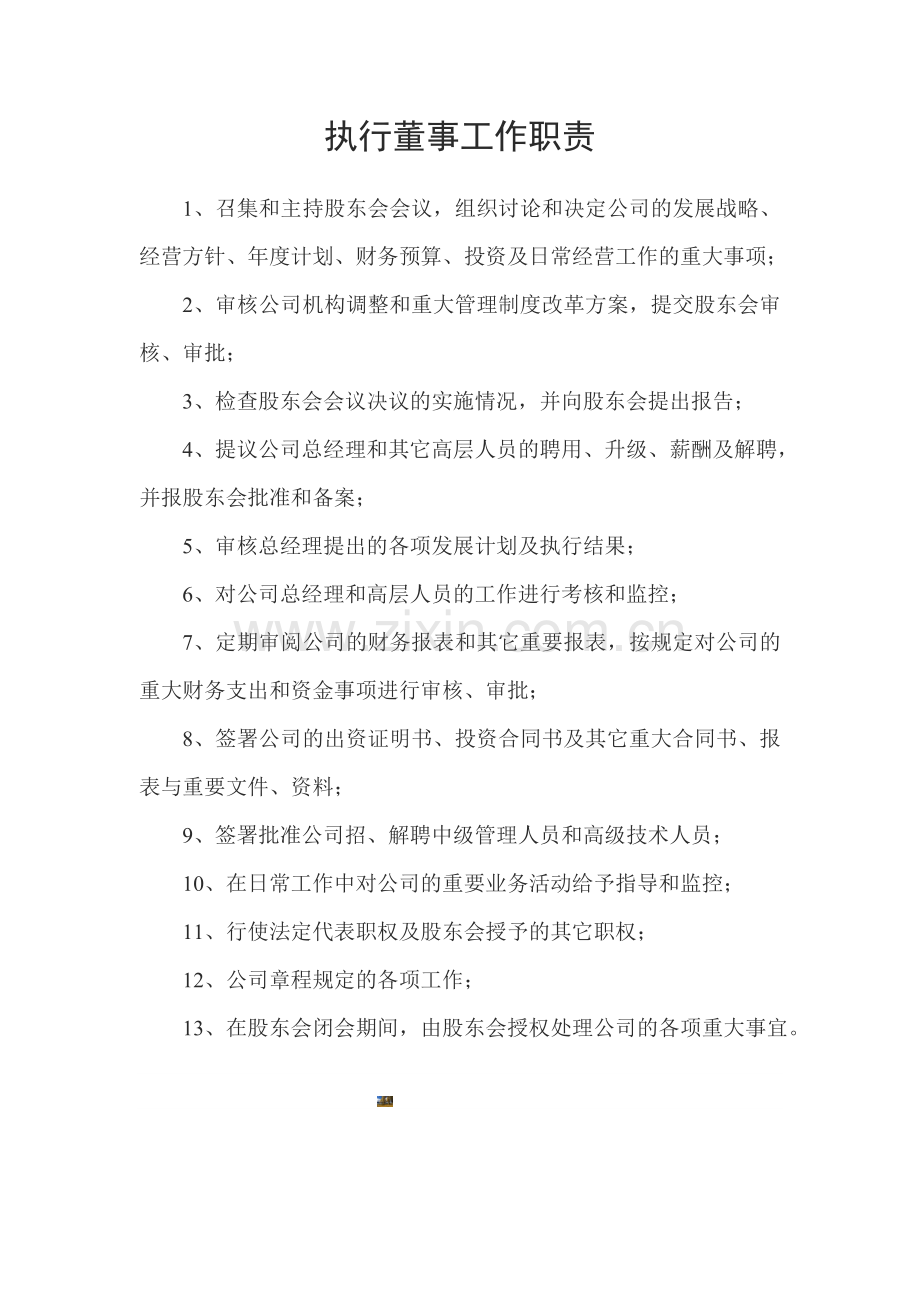 执行董事工作职责.doc_第1页