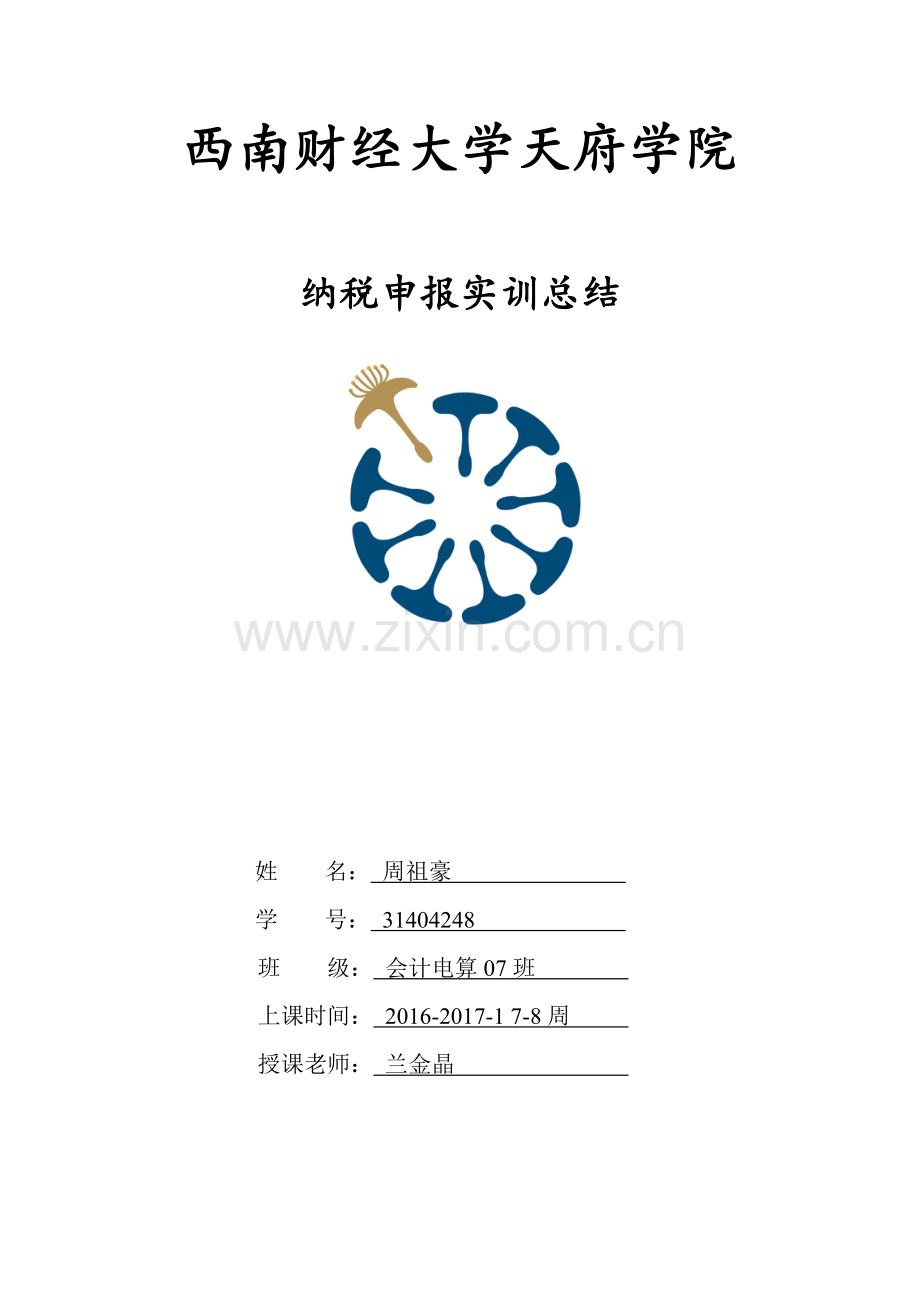 纳税申报实训总结.doc_第1页