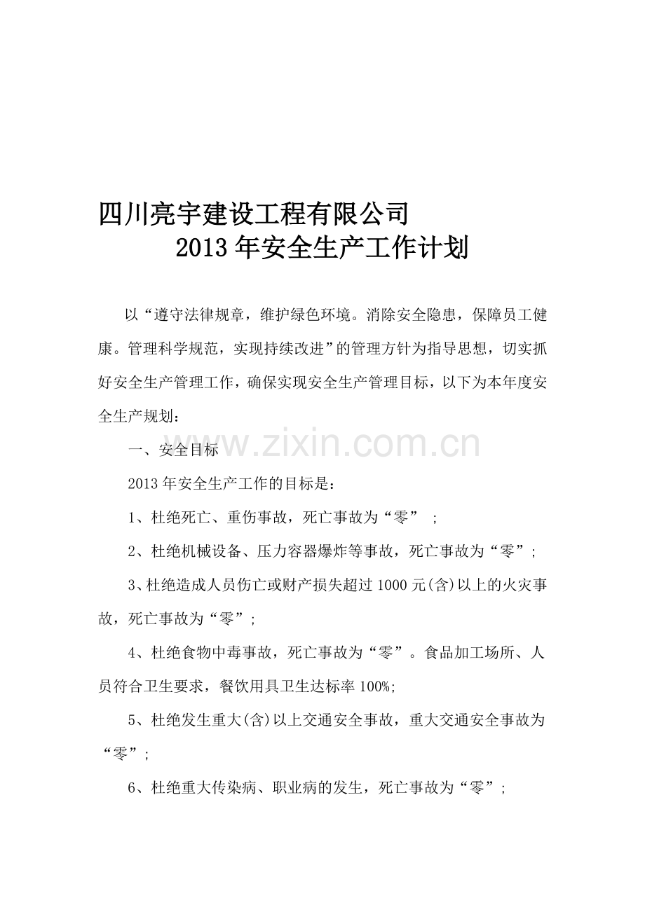 四川亮宇建设工程有限公司年度安全生产工作计划.doc_第1页