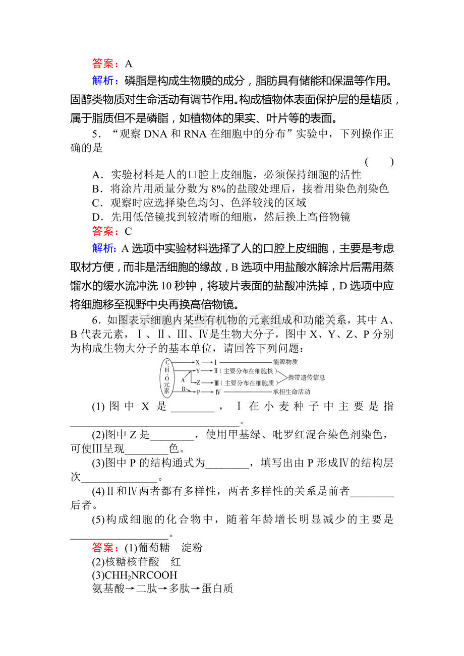 高一生物上册限时复习训练题19.doc_第2页