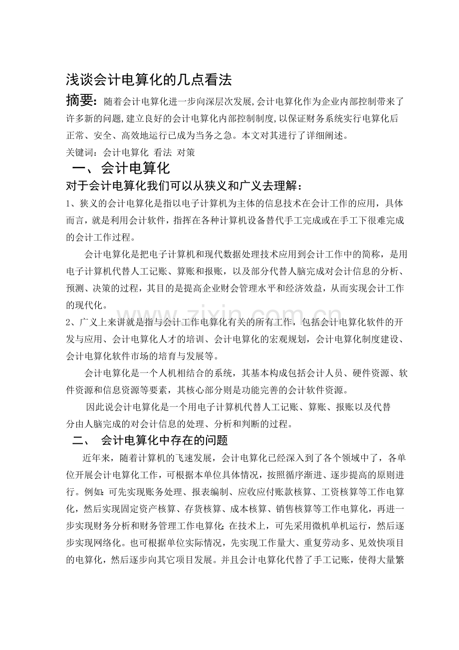 浅谈会计电算化的几点看法1.doc_第1页