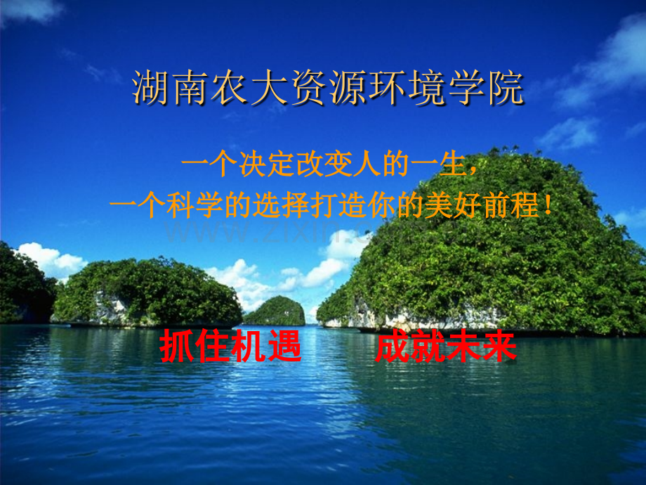 房地产经营与管理专业介绍.ppt_第1页