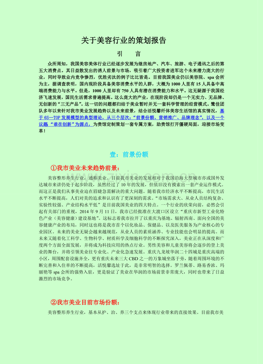 关于美容行业的策划报告.doc_第1页