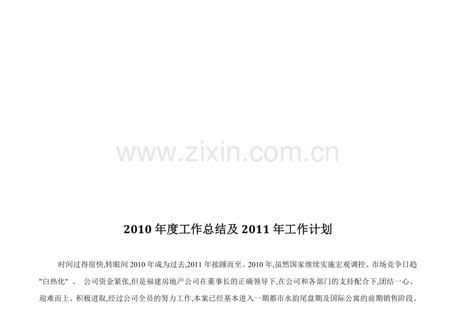 2010年度工作总结及2011年工作计划.doc_第1页