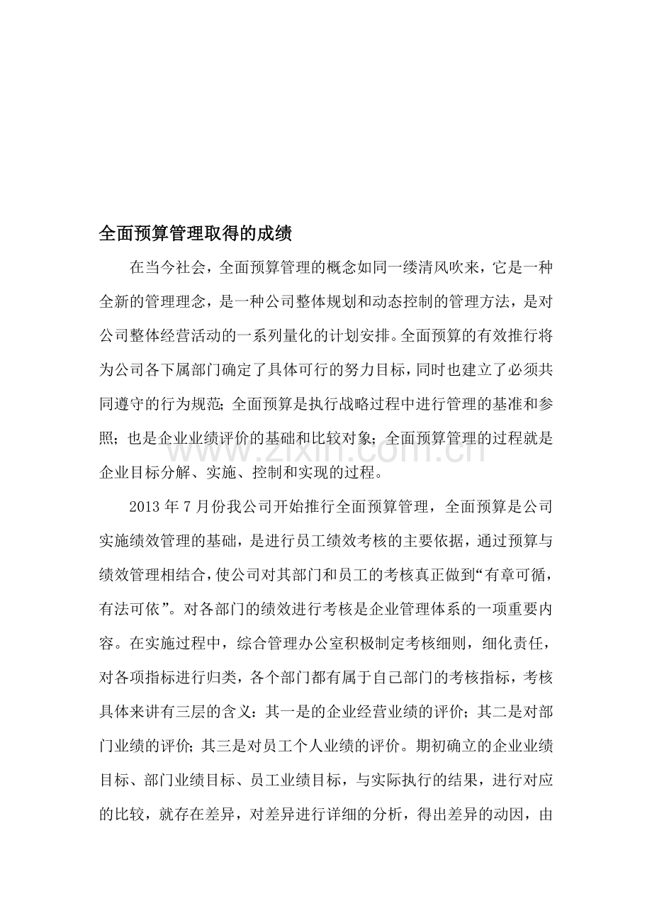 全面预算管理的成绩.doc_第1页