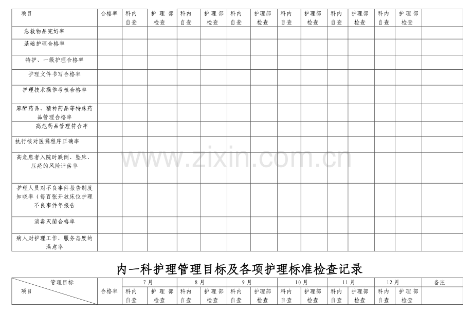 护理管理目标及各项护理标准检查记录.doc_第2页