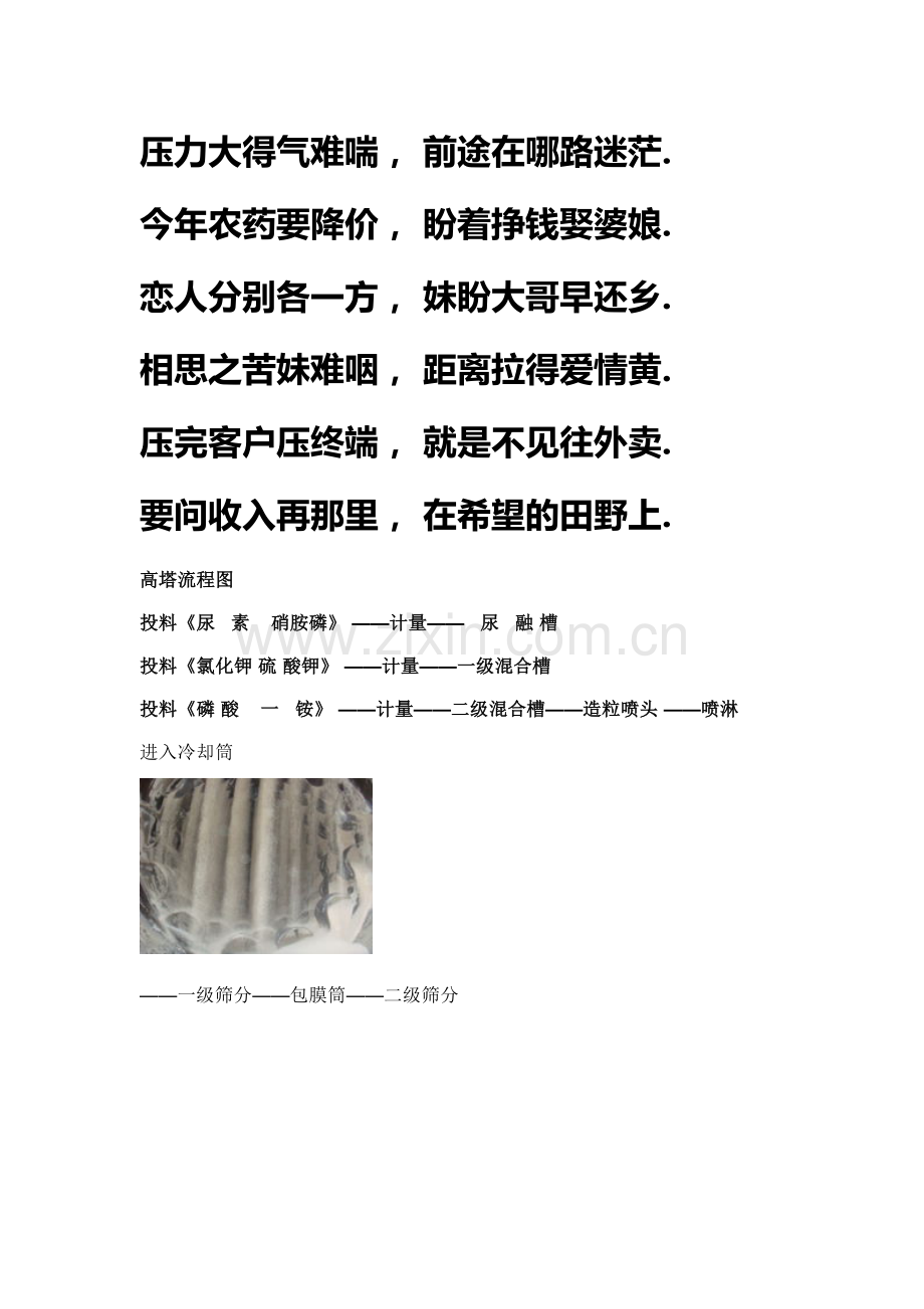 分析高塔复合肥生产工艺细化.doc_第2页