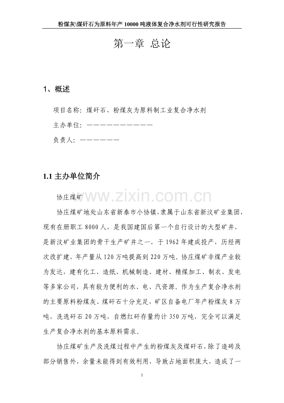 年产10000吨液体复合净水剂(粉煤灰煤矸石为原料)建设可行性研究报告.doc_第2页