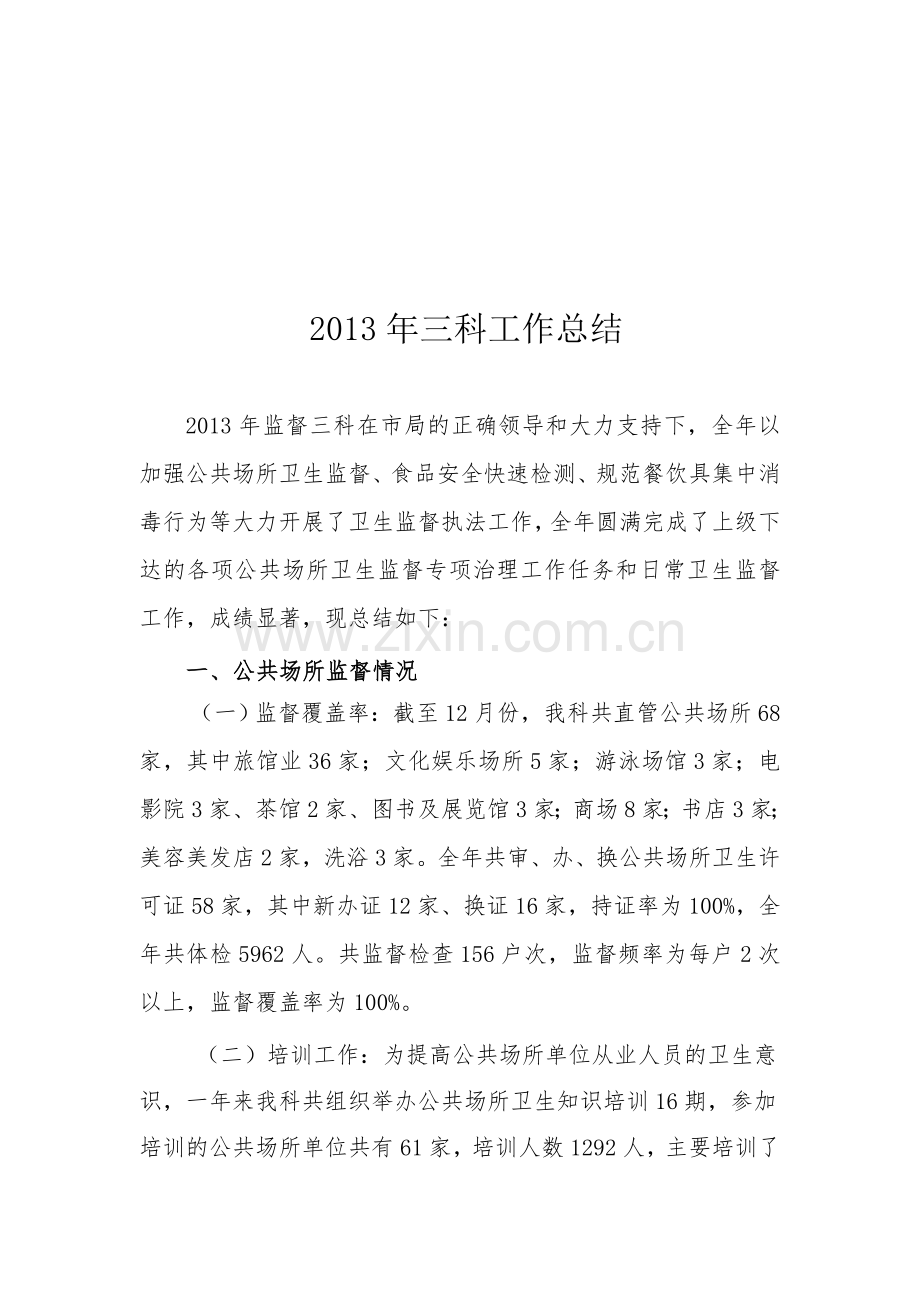 公共场所工作总结.doc_第1页