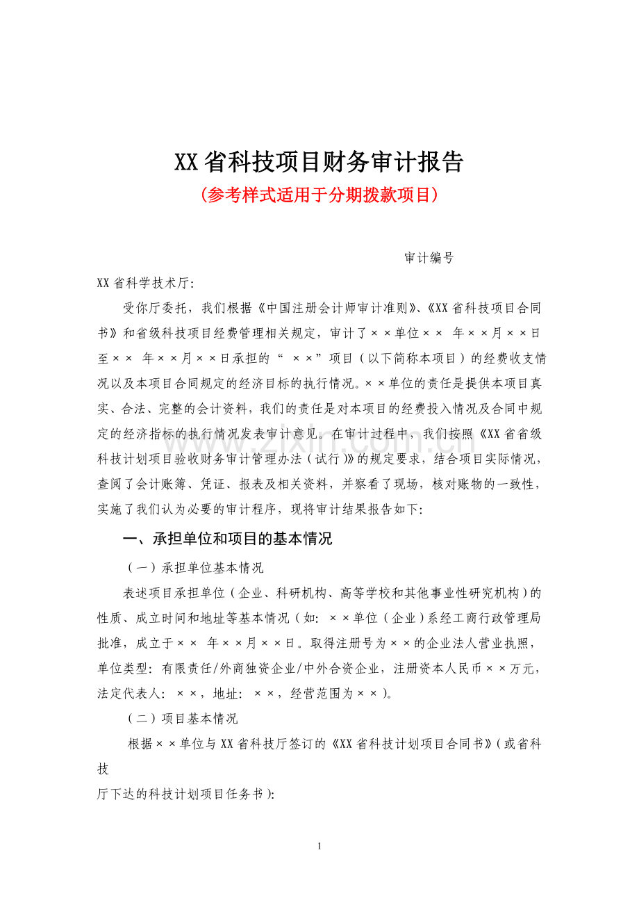科技项目审计报告.doc_第1页