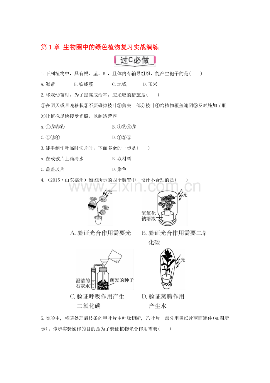 生物圈中的绿色植检测题.doc_第1页