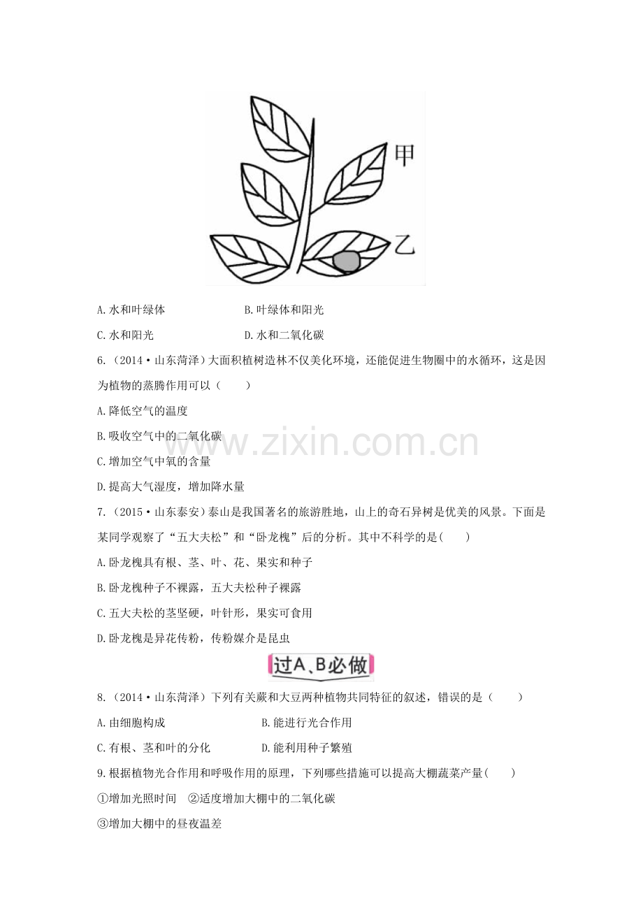 生物圈中的绿色植检测题.doc_第2页