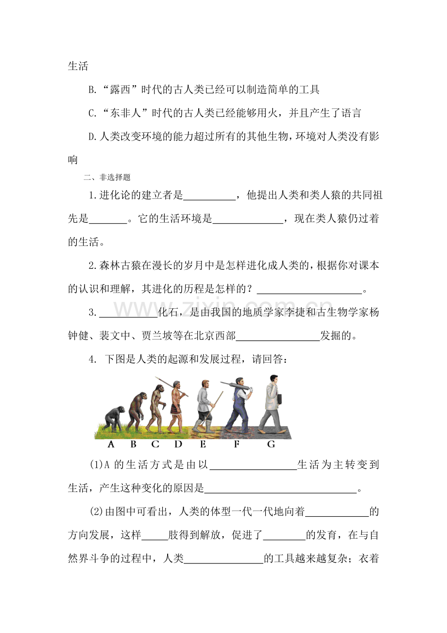 人类的起源和发展课后拓展训练题新.doc_第2页