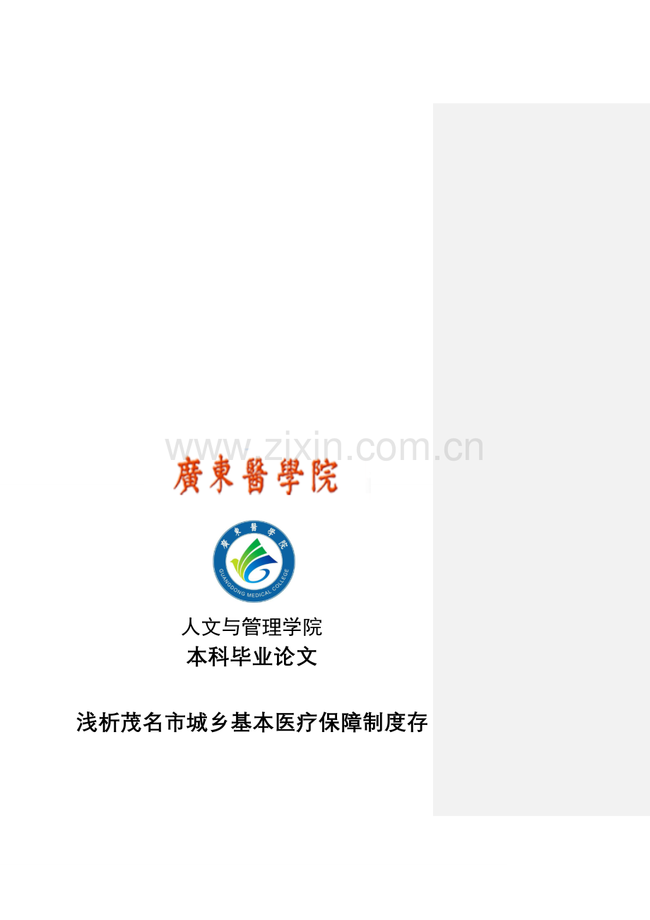 浅析茂名市城乡基本医疗保障制度存在的问题和对策分析.doc_第1页