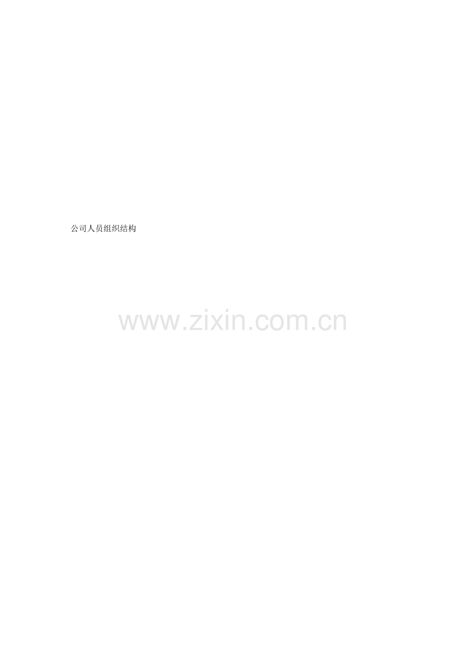公司人员组织结构.doc_第1页
