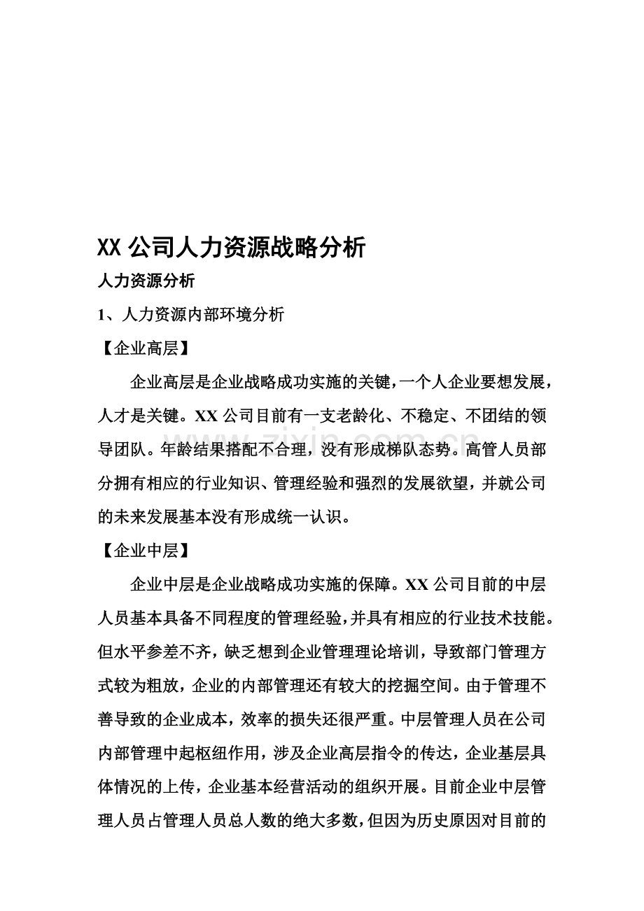 公司人力资源战略分析.doc_第1页