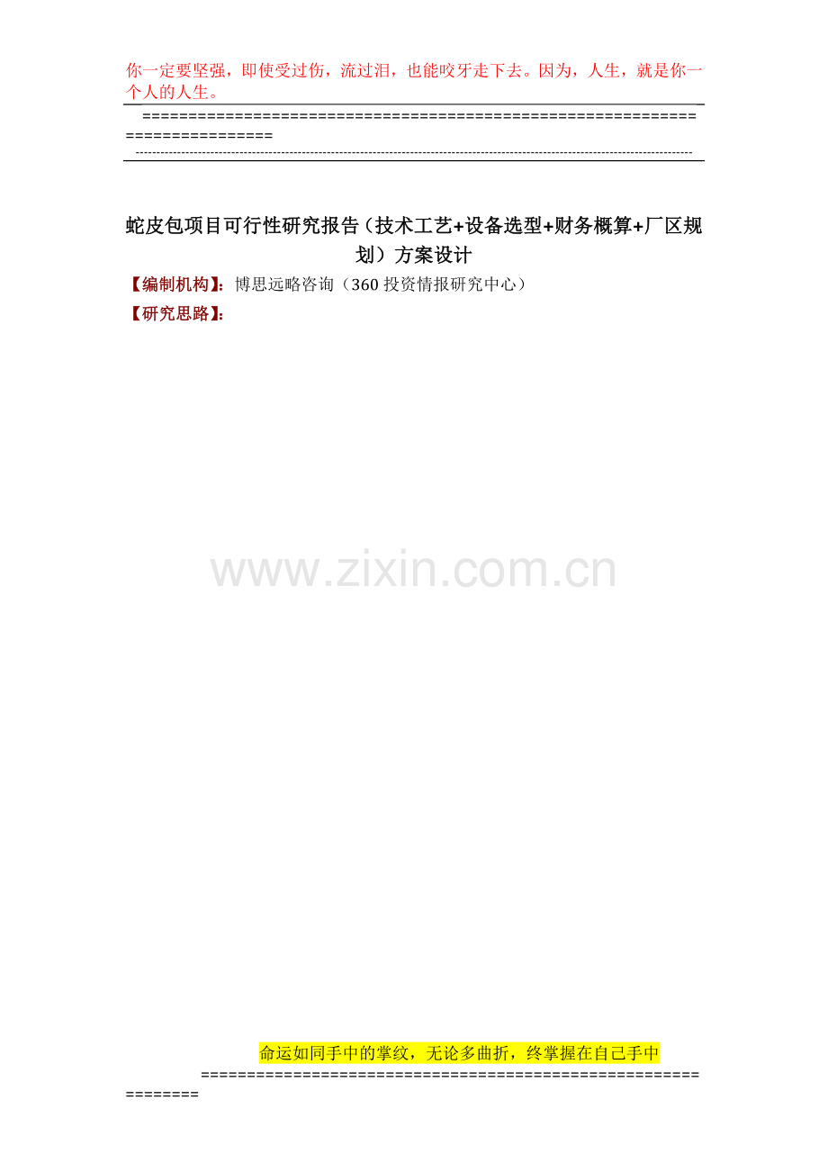 蛇皮包项目可行性研究报告(技术工艺-设备选型-财务概算-厂区规划)方案设计.docx_第1页