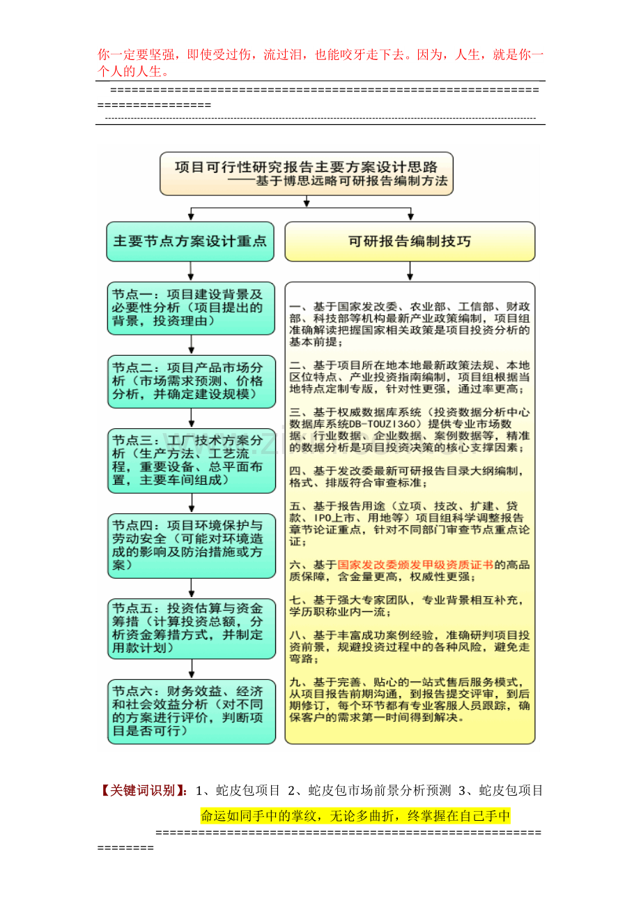 蛇皮包项目可行性研究报告(技术工艺-设备选型-财务概算-厂区规划)方案设计.docx_第2页