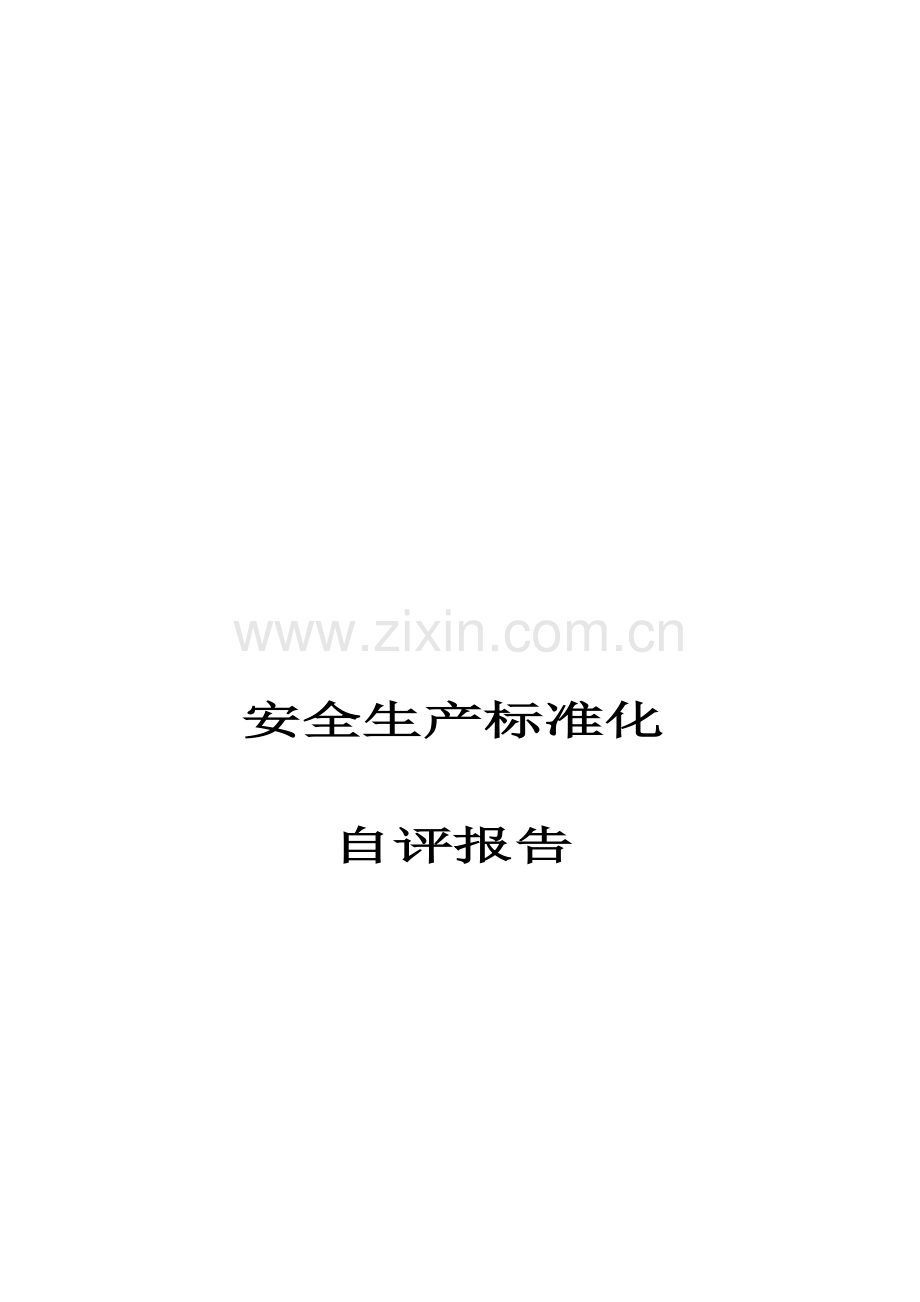 安全生产标准化自评报告(鑫夏).doc_第1页