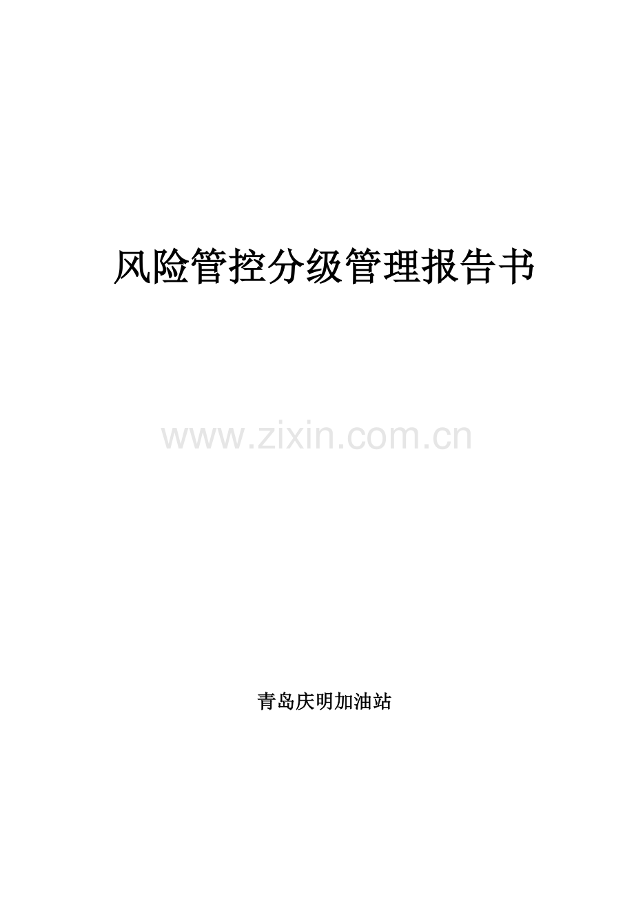 风险管控分级管理报告书.doc_第1页