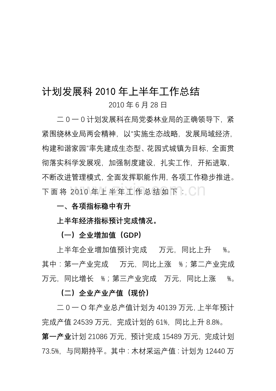 2010.6.28计划发展科上半年工作总结.doc_第1页