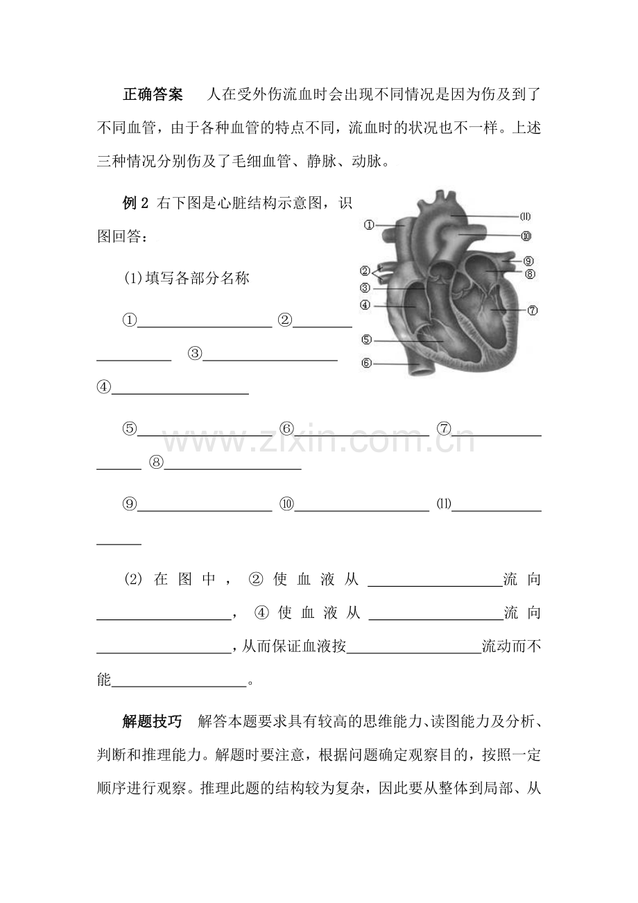 七年级生物心脏课时训练.doc_第2页