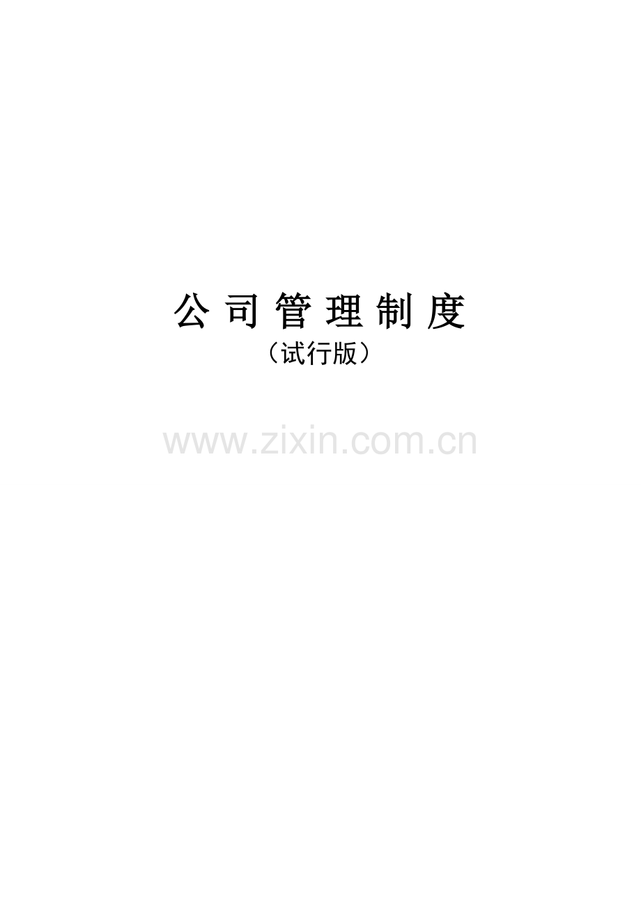公司管理制度——试行版.doc_第2页