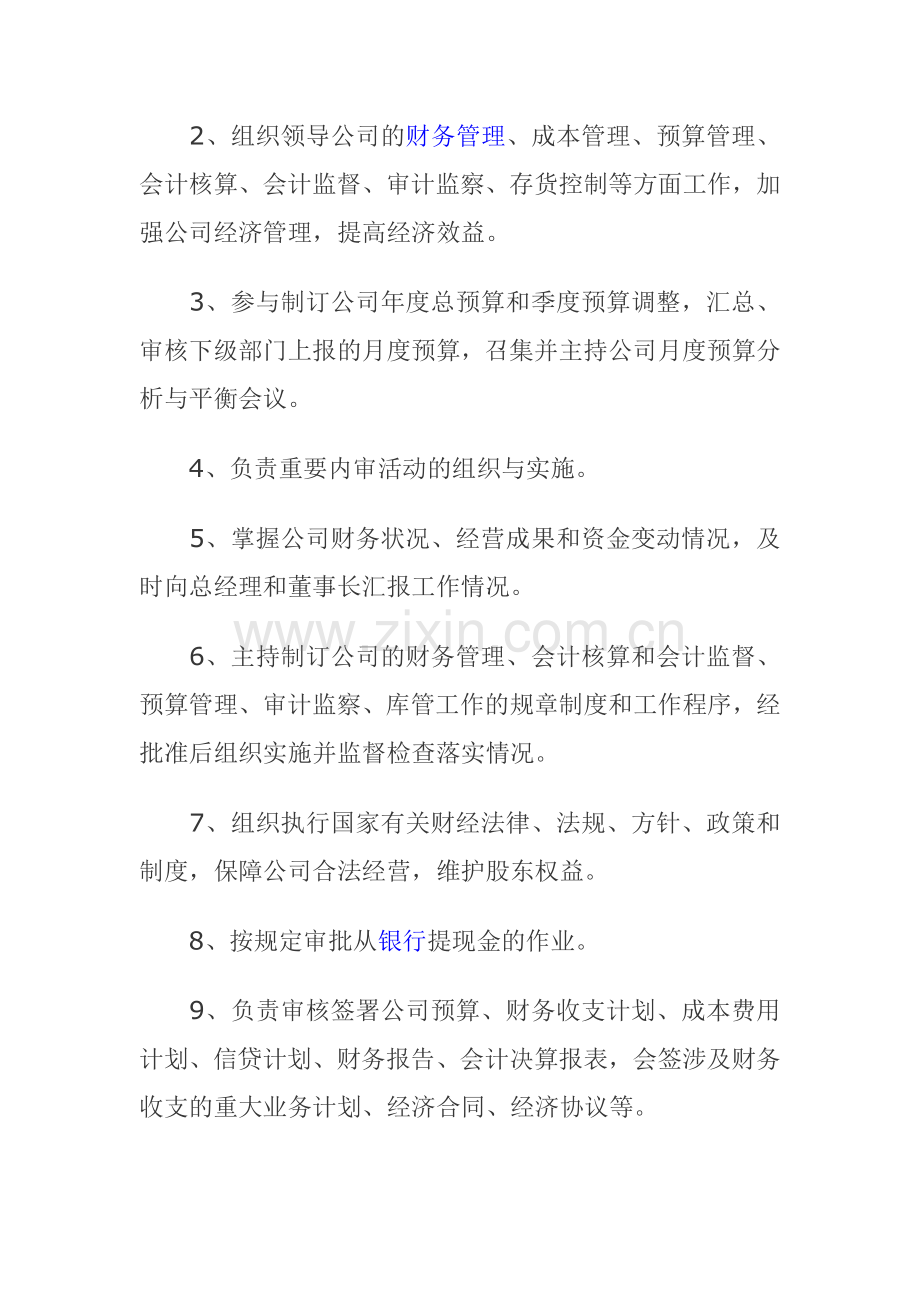 CFO财务总监的岗位职责.doc_第2页