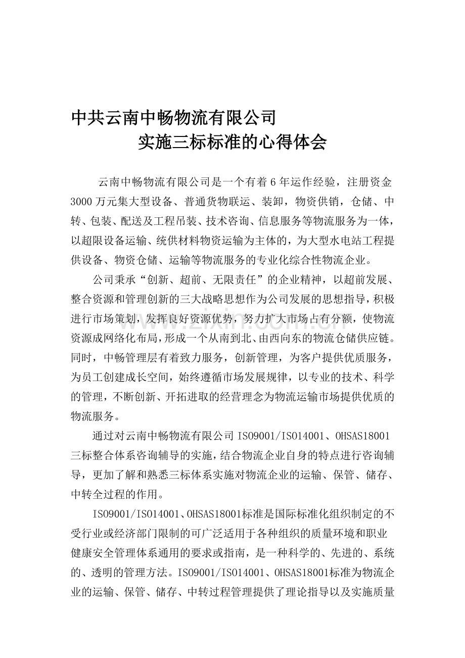 云南中畅物流有限公司工作总结.doc_第1页