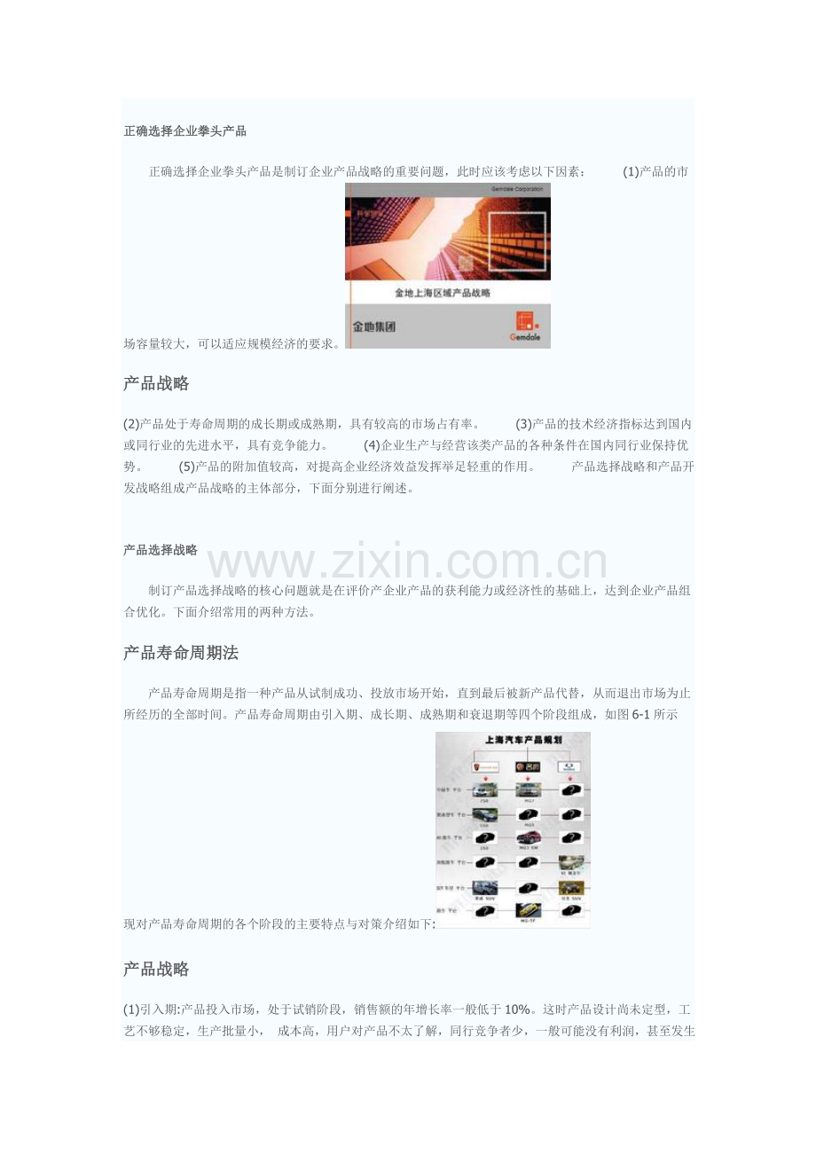 产品战略分类.doc_第2页