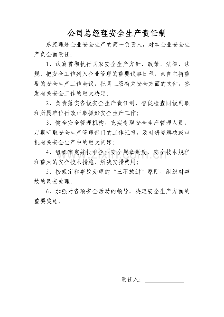 公司各级安全生产责任制目录及文件.doc_第2页