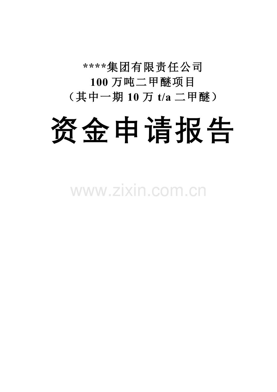 10万吨二甲醚项目资金申请报告.doc_第1页