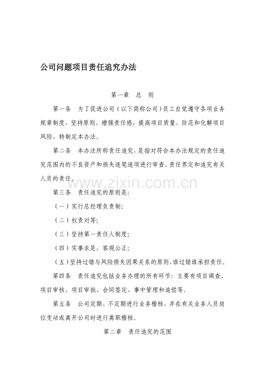 小额贷款公司问题项目责任追究暂行制度.doc_第1页
