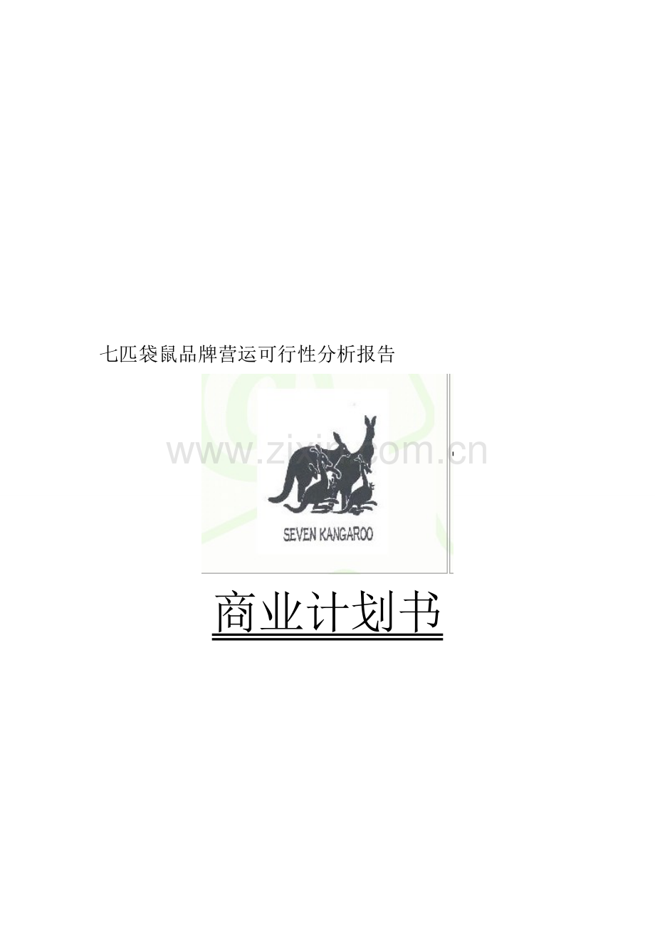 七匹袋鼠品牌运作可行性分析报告.doc_第1页