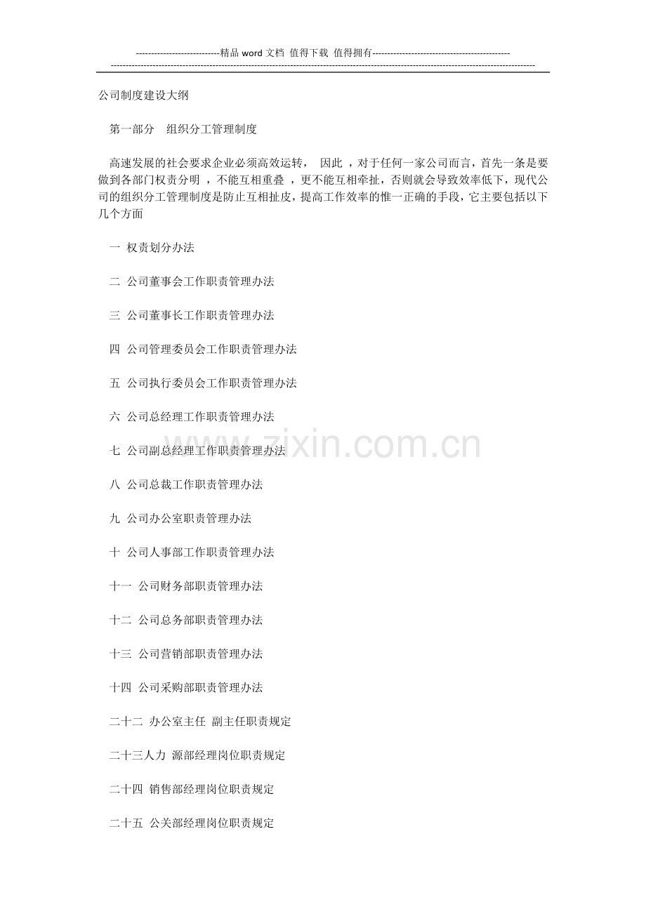 公司制度建设大纲.docx_第1页