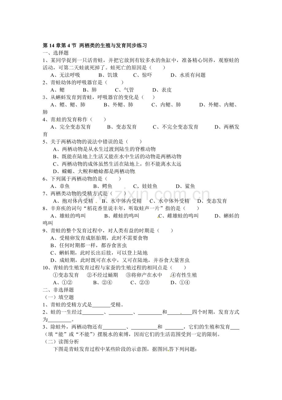 两栖类的生殖与发育随堂练习2.doc_第1页