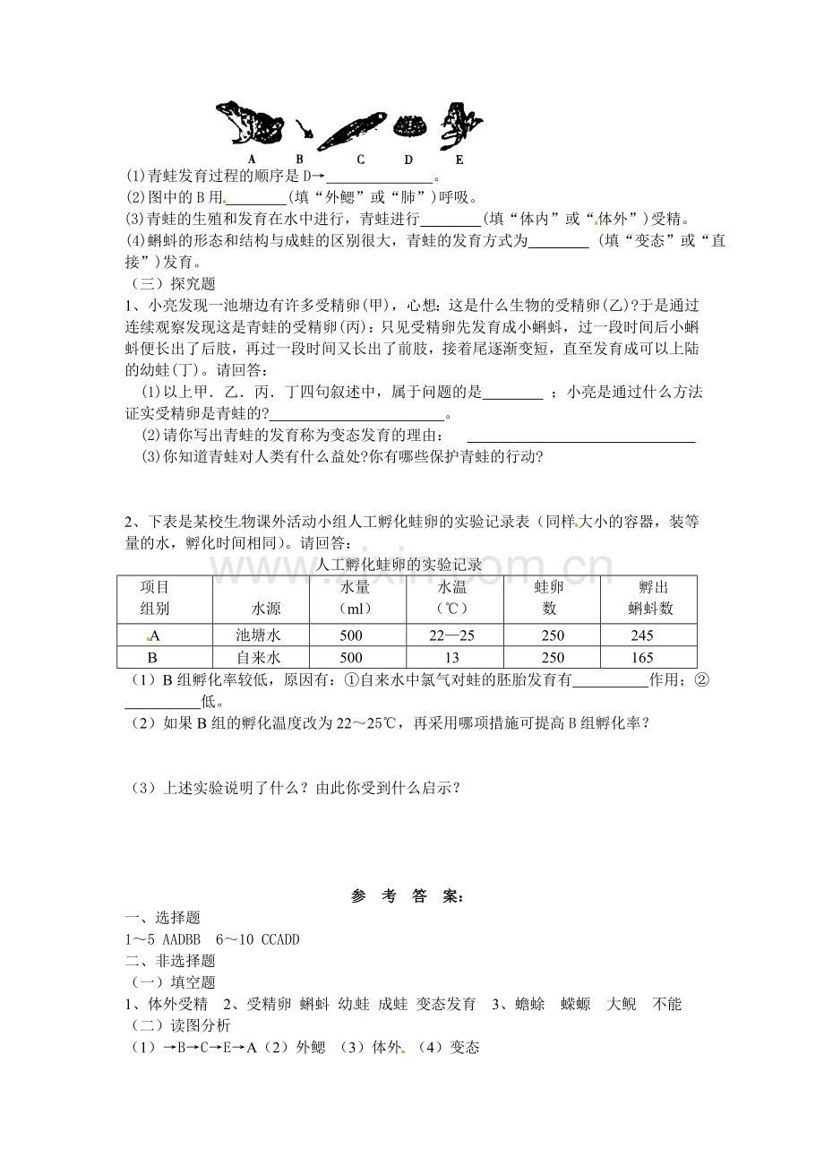 两栖类的生殖与发育随堂练习2.doc_第2页