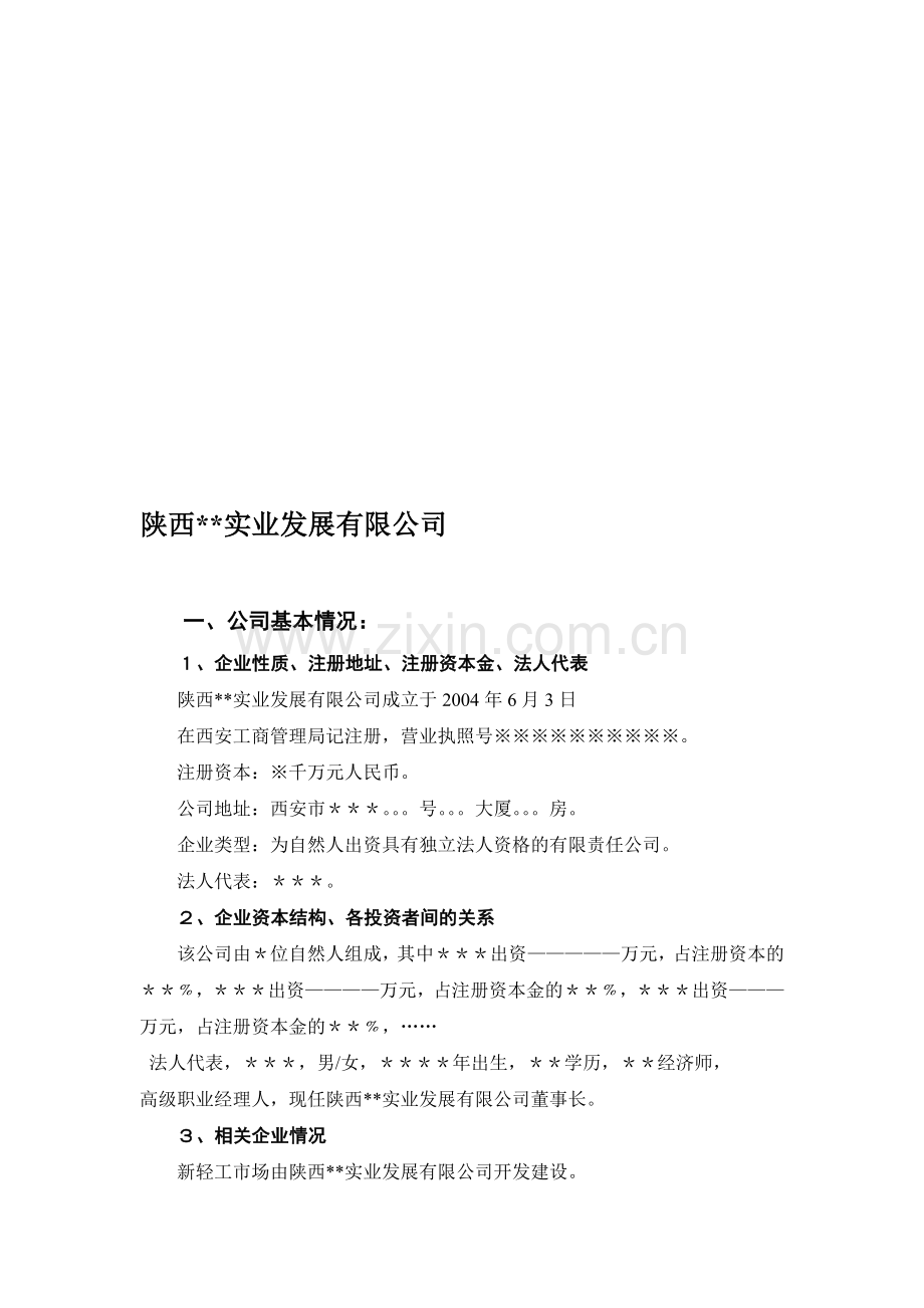 某房地产公司融资报告.doc_第1页