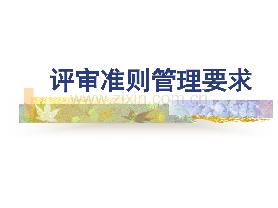 实验室评审准则管理要求.ppt_第1页