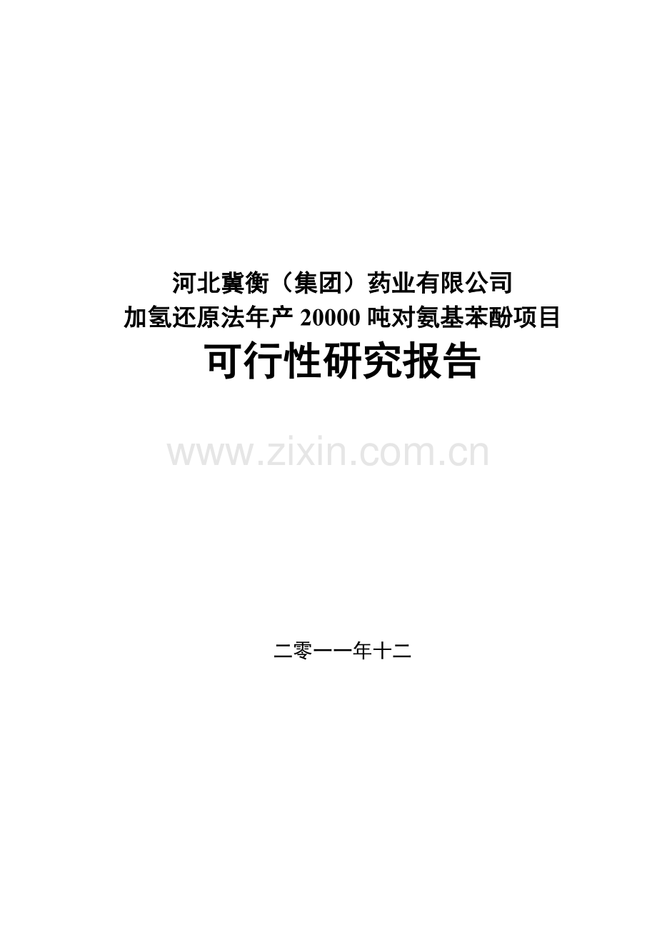 加氢还原法年产20000吨对氨基酚项目可行性研究报告.doc_第1页
