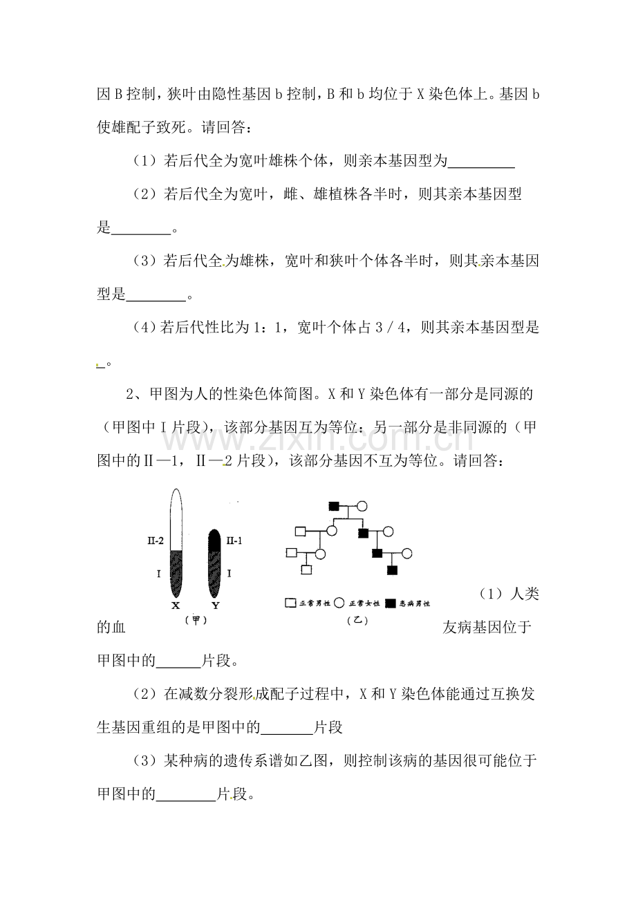 人的性别决定检测题1.doc_第2页