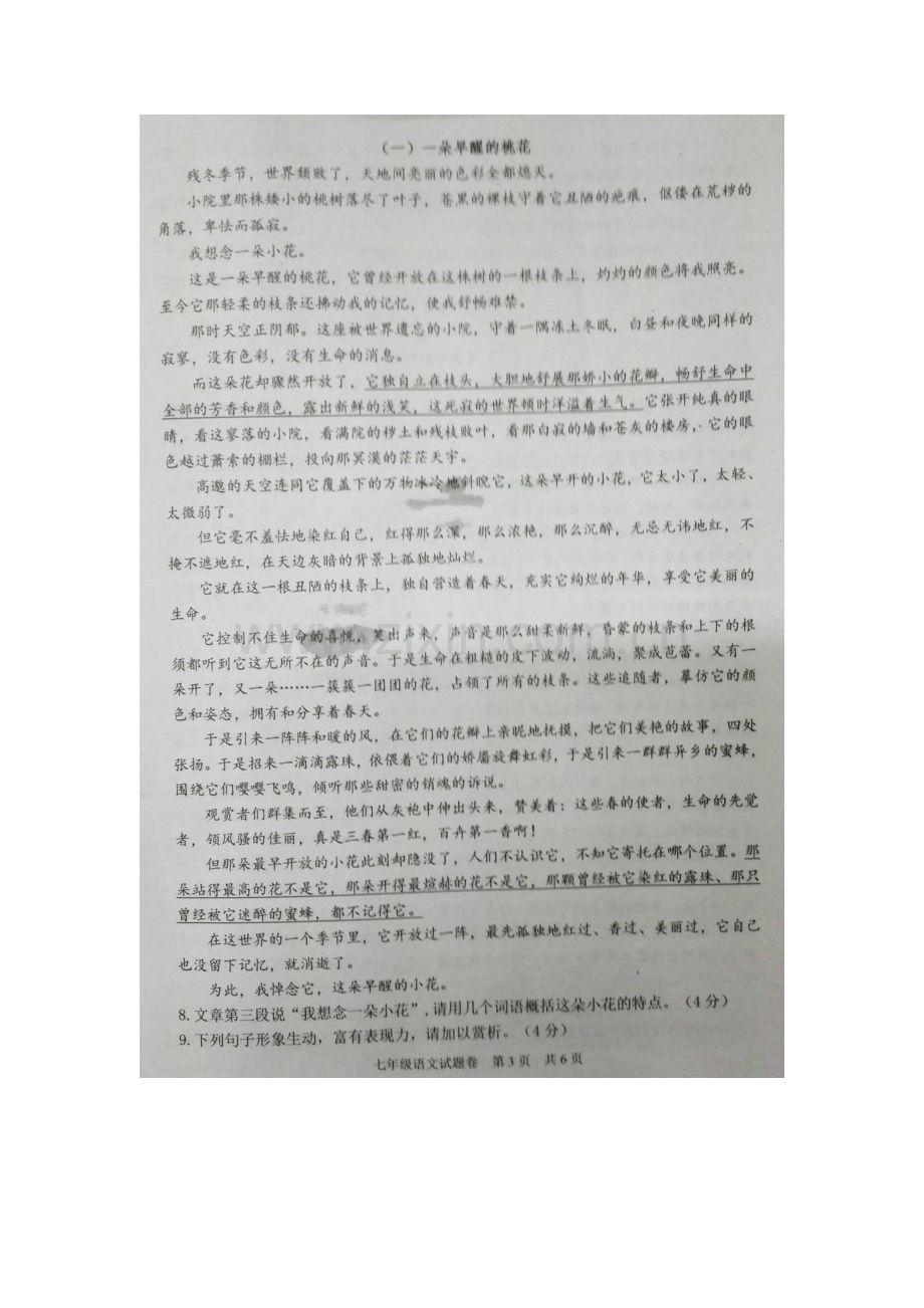 浙江省杭州市2015-2016学年七年级语文下册期末检测题1.doc_第2页