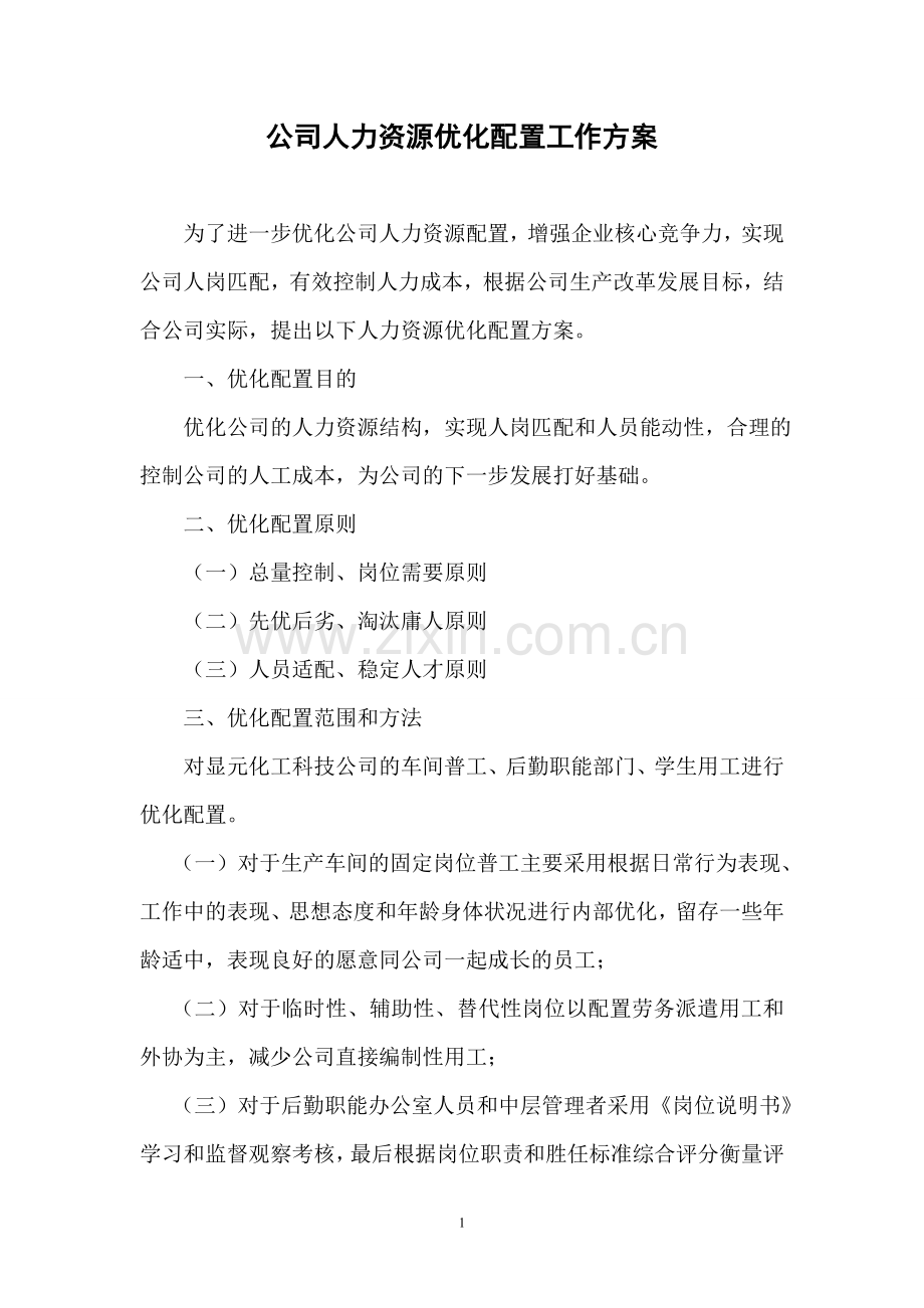 公司人力资源优化配置工作方案.doc_第1页