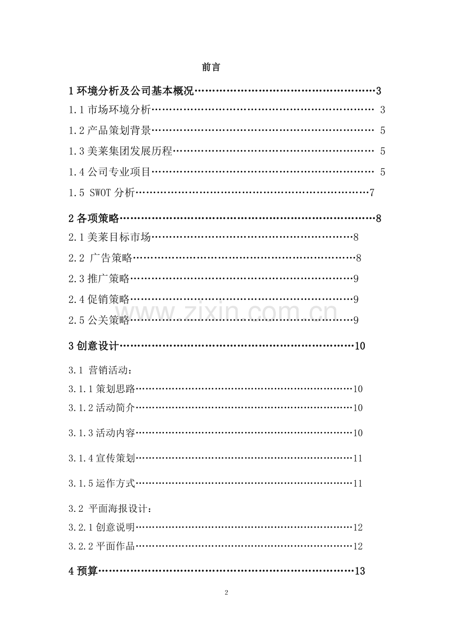 美莱整形策划案.doc_第2页