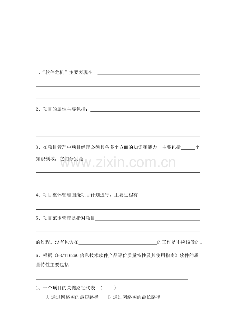 IT项目管理资料.doc_第1页