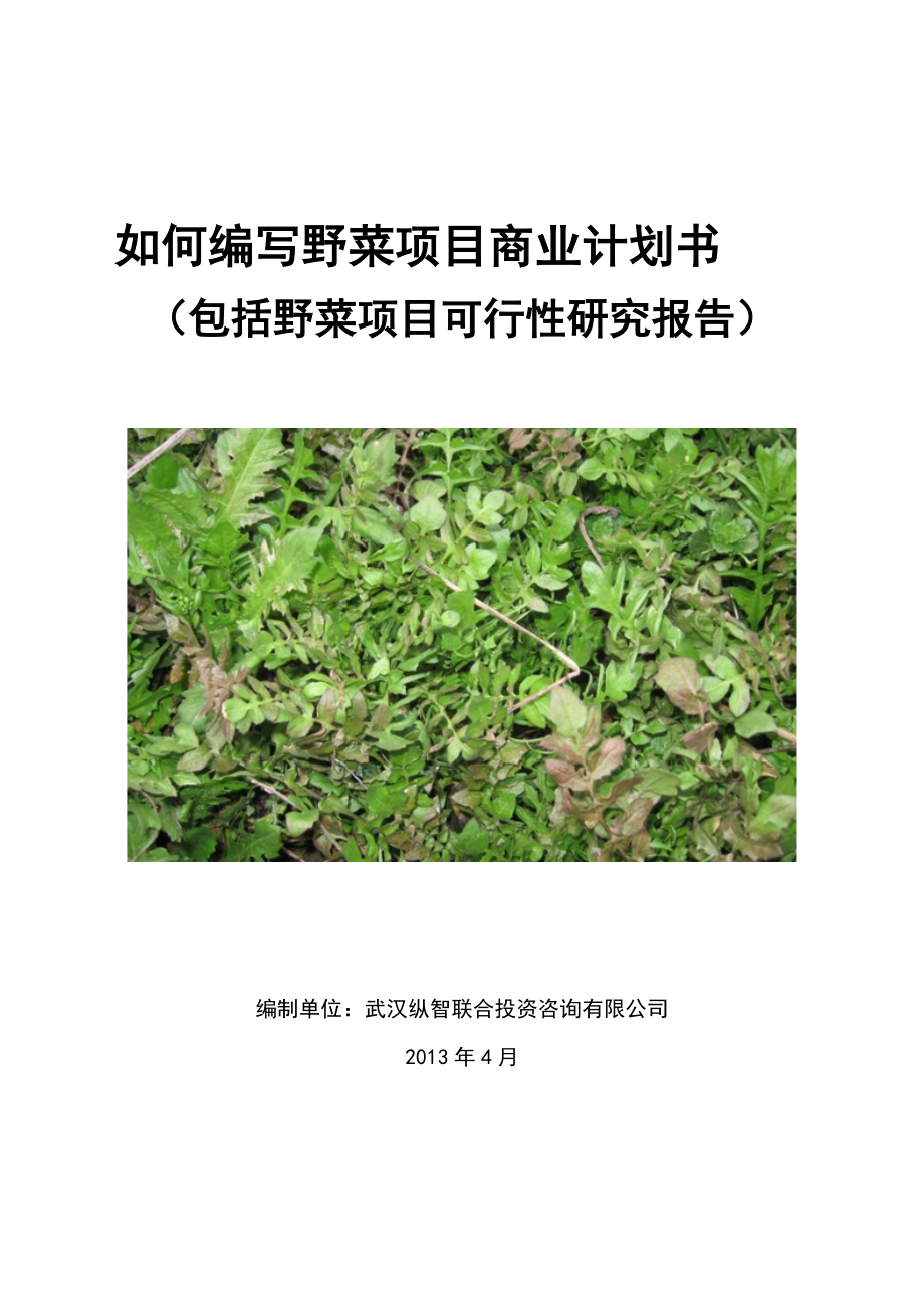 2013年优秀野菜项目商业计划书(可行性研究报告).doc_第1页