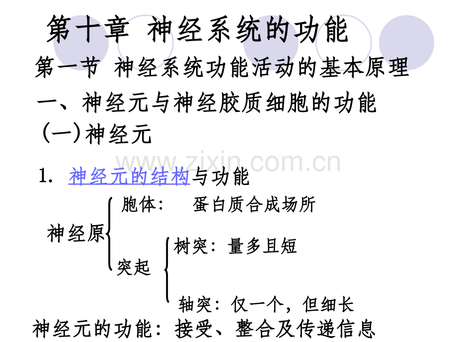 神经系统的功能ppt.ppt_第1页