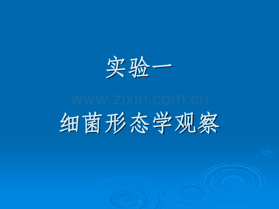 实验一-细菌形态学观察.ppt_第1页
