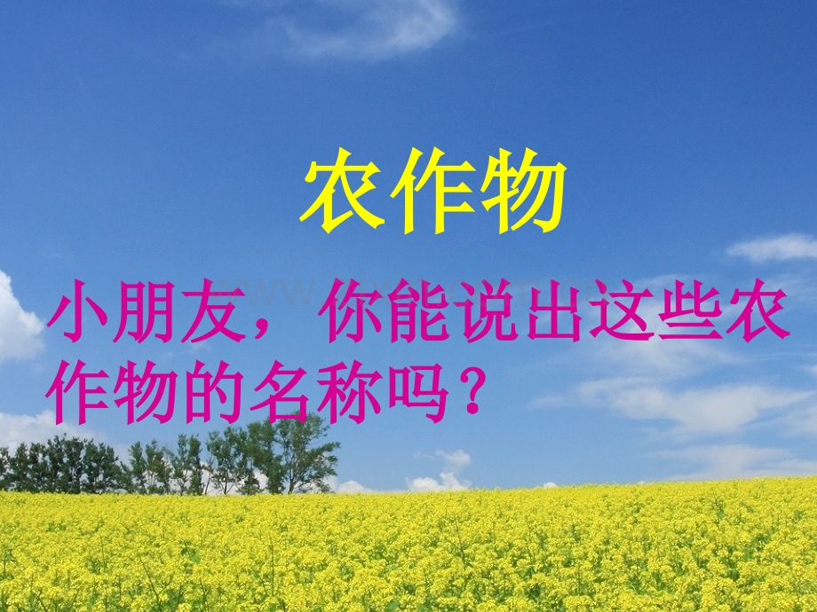 幼儿园大班语言《认识农作物》.ppt_第2页